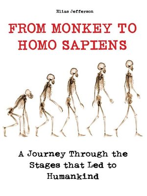 cover image of From Monkey to Homo Sapiens a Journey Through the Stages that Led to Humankind